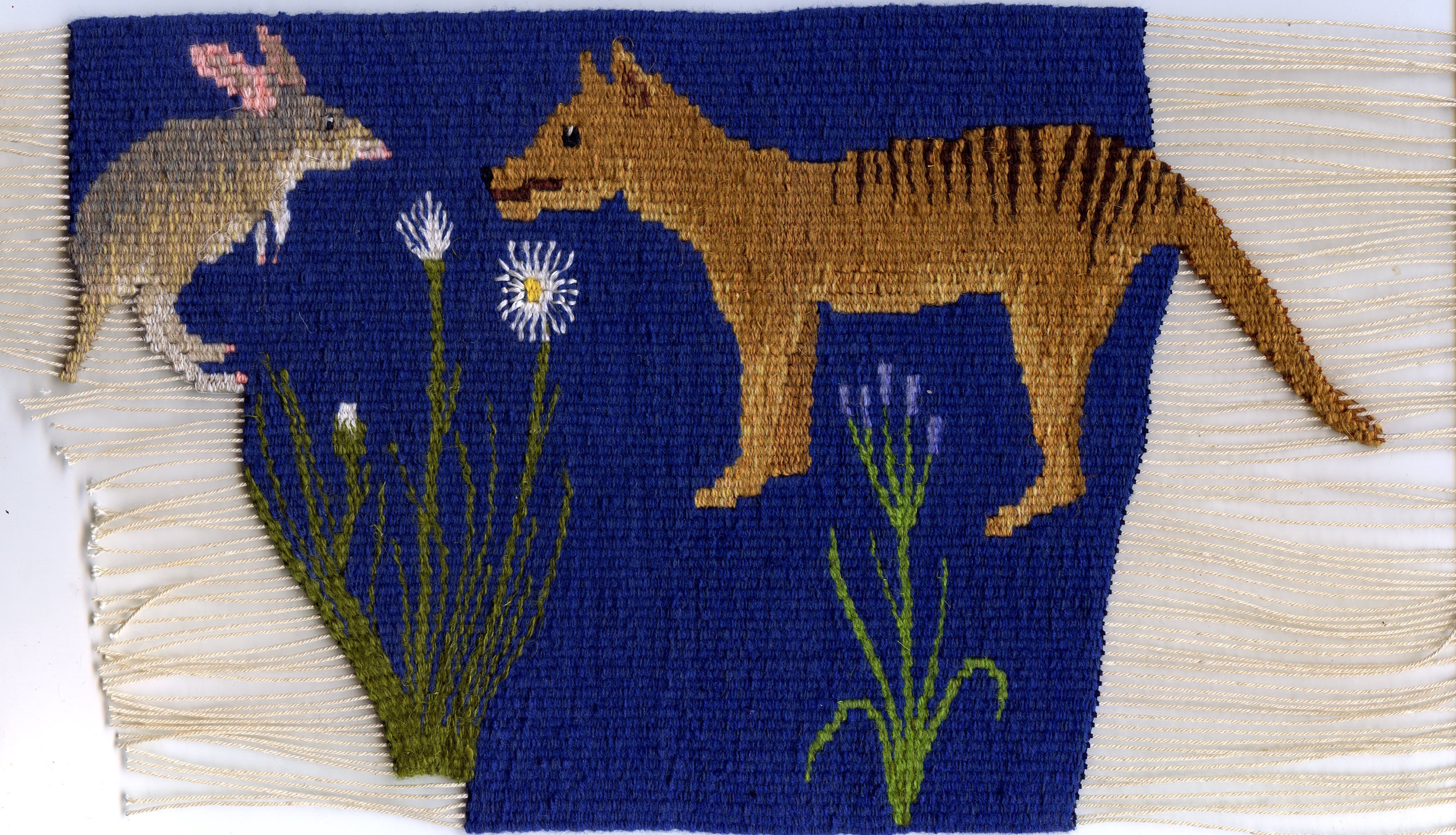 Lady and the Bunyip 6